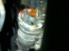 IMG-20121121-00274.jpg
