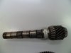 coroa&amp;pinhao_70_19_2.jpg